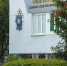 Ялтинский чиновник не привлек к ответственности виновных в незаконной вырубке деревьев - КрымИнформ
