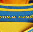 Для чего Украина поместила нацистский лозунг на форму сборной – мнение - Crimea-news.com