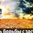 Фото: соцсети - 3652.Ru