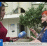 Народ говорит: в Симферополе 37-летний дом нуждается в срочном ремонте - Crimea-news.com