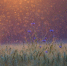 Массовое уничтожение комаров начали в Крыму - Crimea-news.com