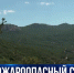 Сотрудники МЧС усилили контроль противопожарной безопасности на природе. Как соблюдают правила отдыхающие? - Crimea-news.com