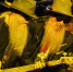 Умер басист легендарной группы ZZ Top Дасти Хилл - Crimea-news.com
