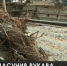 Города Крыма ждут генеральную уборку - Crimea-news.com