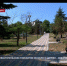 В сквере Севастопольских курсантов засохло 31 дерево – Севприроднадзор - Crimea-news.com
