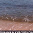 Что случилось с Азовским морем в посёлке Курортное? - Crimea-news.com