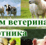 C Днем ветеринарного работника - Crimea-news.com