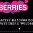 Серия мастер-классов по работе с маркетплейсом Wildberries пройдет для МСП - Минэкономразвития