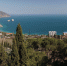 В Крыму выйдет фотокнига о виноделии - Crimea-news.com