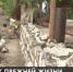 К прежней жизни. Когда строители восстановят улицу Токмаковых в Кореизе? - Crimea-news.com