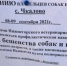 В Нижнегорском районе проводится профилактическая вакцинация против бешенства домашних плотоядных - Crimea-news.com