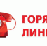 О создании горячей линии по вопросам качества и безопасности молочной продукции и срокам годности - Crimea-news.com