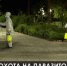 Охота на паразитов. Как в Ялте борются с губителями растений? - Crimea-news.com