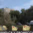 Брать пример. Чему спасатели научили волонтеров на молодежном форуме «Стихия – 2021»? - Crimea-news.com