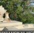 В Керчи вандалы повредили Малую Митридатскую лестницу - Crimea-news.com