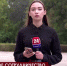 Севастопольский государственный университет будет сотрудничать с сирийскими вузами - Crimea-news.com