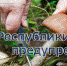 МЧС Крыма: Будьте осторожны и внимательны при сборе грибов! - Crimea-news.com