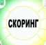 В Крыму продолжается интернет-опрос об эффективности деятельности органов местного самоуправленияСкоринговая модель оценки субъекта МСП - Crimea-news.com