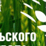 2021 - Год сельского футбола - Crimea-news.com