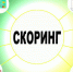 Скоринговая модель оценки субъекта МСП - Crimea-news.com