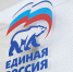 Лидеры предвыборного списка «ЕР» возглавят партийные комиссии - Crimea-news.com