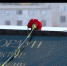 25 лет исполнилось севастопольскому памятнику воинам-интернационалистам (СЮЖЕТ) - Crimea-news.com