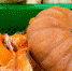 Диетолог назвала главный осенний продукт для похудения - Crimea-news.com