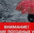 Внимание! Ухудшение погодных условий! - Crimea-news.com