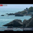 Кому достанется севастопольская база отдыха «Батилиман»? - Crimea-news.com