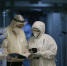В России зафиксировали 1 189 смертей из-за коронавируса за сутки. Это максимум за пандемию - Crimea-news.com
