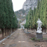 Фото пресс-службы правительства Крыма - Крымская правда