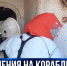Севастопольские спасатели отработали тушение огня на корабле - Crimea-news.com