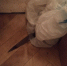IMG-20211115-WA0001 - МВД по Республике Крым