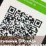 При распечатывании QR-кода помогут волонтёры штаба "МЫ ВМЕСТЕ" - МФЦ