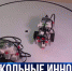 От кибергигиены до 3D-моделирования: на Северной стороне Севастополя открыли «IT-куб. Борей» - Crimea-news.com