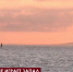 Нежданный гость, развернувшийся у порога - Crimea-news.com