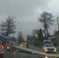 В Севастополе стрела пожарного автоподъемника рухнула на дорогу - Крым.Net