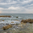 Черное море в Крыму стало желтым - Крым.Net