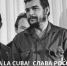 Крымчане солидарны с кубинцами и оказывают помощь острову Свободы – Ирина Кивико - Crimea-news.com