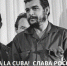 Крымчане солидарны с кубинцами и оказывают помощь острову Свободы – Ирина Кивико - Правительство Республики Крым