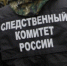 Проводится проверка по информации из СМИ по факту травмирования женщины в результате падения на нее фонаря - Следственный комитет