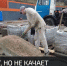 В Алуште ищут места для парковок - Crimea-news.com
