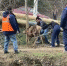 В Алуште испуганная косуля забежала к местным жителям - Крымское информационное агентство