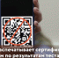 МФЦ не распечатывает сертификаты с QR-кодом по результатам теста на антитела - МФЦ