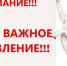 К ВНИМАНИЮ ГРАЖДАН И ВЛАДЕЛЬЦЕВ ЖИВОТНЫХ МУНИЦИПАЛЬНОГО ОБРАЗОВАНИЯ ГОРОДСКОЙ ОКРУГ АЛУШТА! - Crimea-news.com