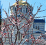 6 марта: в этот день хороший… - Crimea-news.com