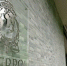 Интерпол отреагировал на призыв исключить Россию - Crimea-news.com