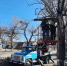 В городе продолжается плановое кронирование и снос аварийных деревьев - Crimea-news.com