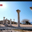 Неделя инклюзивной культуры прошла в Севастополе - Crimea-news.com