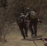 В Инкермане проходит военно-исторический фестиваль - Crimea-news.com